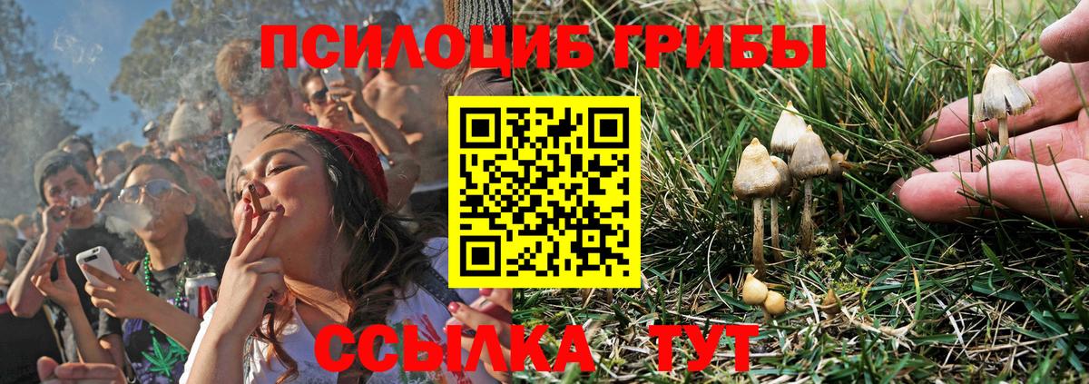 Галлюциногенные грибы Magic Shrooms Калач-на-Дону