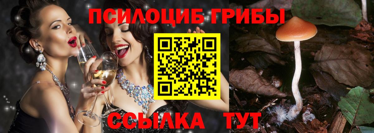 Калач-на-Дону  Галлюциногенные грибы ЛСД  как найти закладки  Псилоцибиновые грибы Psilocybine cubensis  Вход с VPN 
